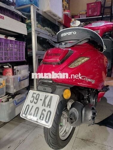 Canely50cc