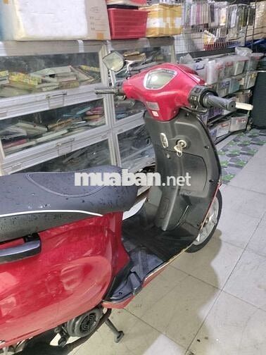 Canely50cc
