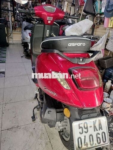Canely50cc