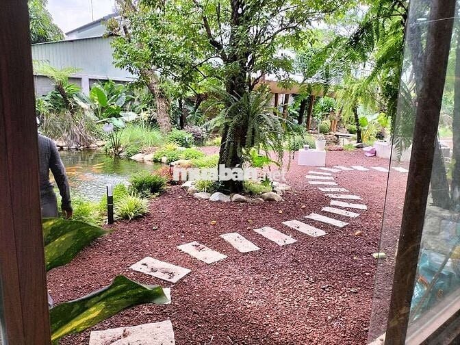 Hạ quyết tâm 4,5 tỷ từ 29, 5 xuống còn 24,8ty a chị phải nhanh ạ