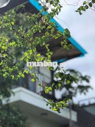 TM Cho thuê nhà homestay sân vườn rộng - Phước Đồng