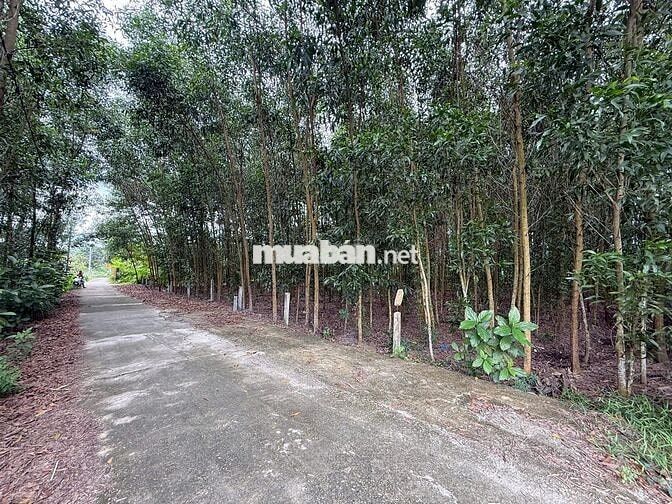 bán lô đất đường 6m Hòa Phong gần đường vành đai Nam Kỳ Khởi Nghĩa