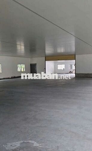 Cho thuê xưởng Thuận An 1200m nền epoxy trần panel đường cont