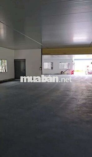 Cho thuê xưởng Thuận An 1200m nền epoxy trần panel đường cont