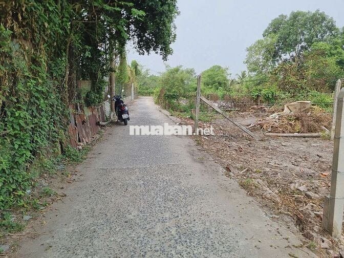 Đất 1/ Trung Lập - Trung Lập Thượng: 156m2 - thổ 135m2. Giá 550 triệu