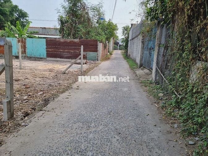Đất 1/ Trung Lập - Trung Lập Thượng: 156m2 - thổ 135m2. Giá 550 triệu