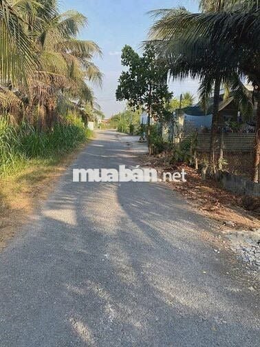 Bán đất Trung Lập Hạ : 147.2m2 (7x18) - thổ cư 134,9m2 . Giá 555 triệu