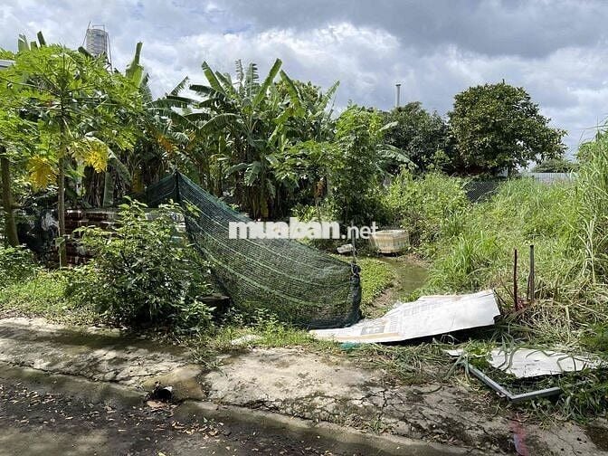 Bán đất P. Thới Hoà, Bến Cát - 102,5m2 thổ cư, ngang 5.5m, nở hậu