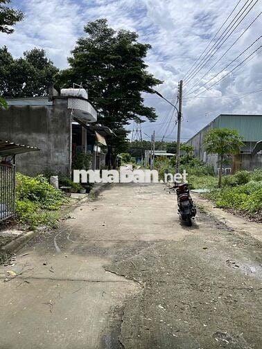 Bán đất P. Thới Hoà, Bến Cát - 102,5m2 thổ cư, ngang 5.5m, nở hậu