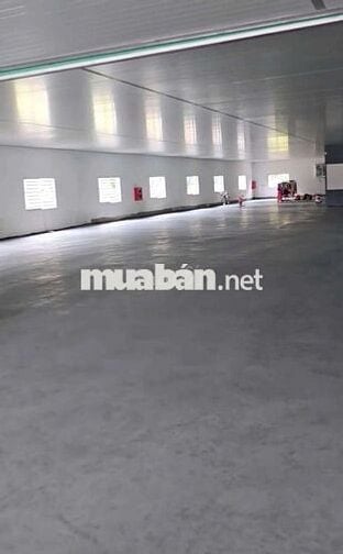 Cho thuê xưởng Thuận An 1200m nền epoxy trần panel đường cont