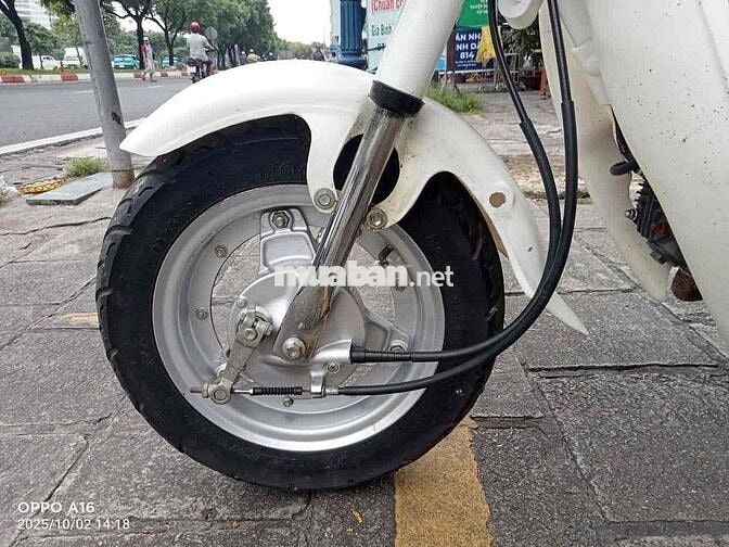 chaly81/50 chính chủ