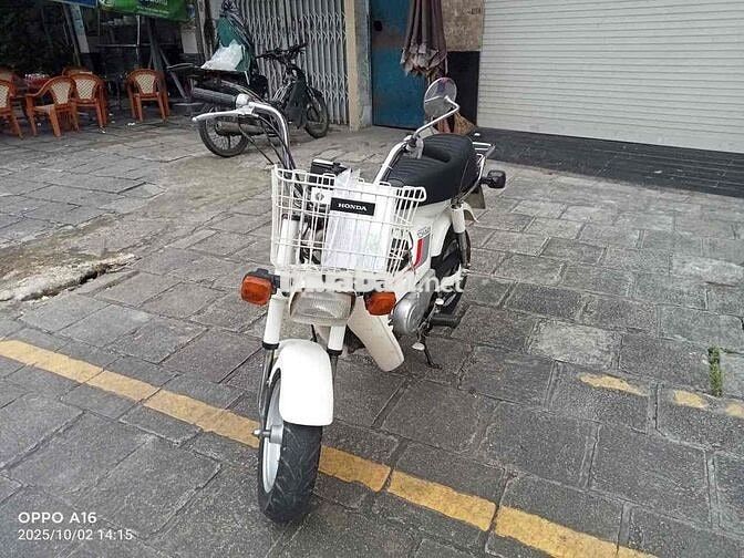 chaly81/50 chính chủ