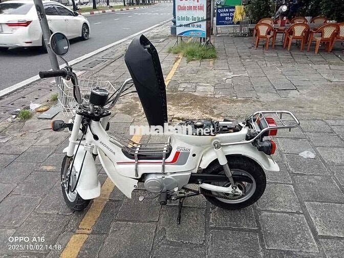 chaly81/50 chính chủ