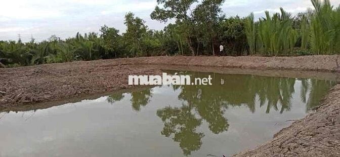 ĐẤT CLN 3385m2, PHƯỚC KIỂN, NHÀ BÈ, CHỈ 4,4Tr/M2