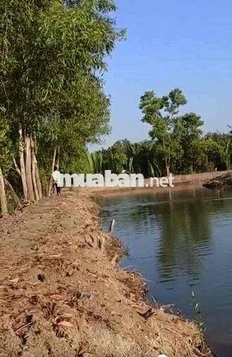 ĐẤT CLN 3385m2, PHƯỚC KIỂN, NHÀ BÈ, CHỈ 4,4Tr/M2