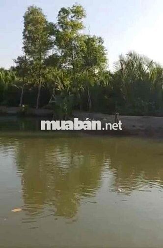 ĐẤT CLN 3385m2, PHƯỚC KIỂN, NHÀ BÈ, CHỈ 4,4Tr/M2