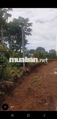 Bán đất 18000m mặt tiền 200m, đường 8m