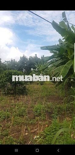 Bán đất 18000m mặt tiền 200m, đường 8m