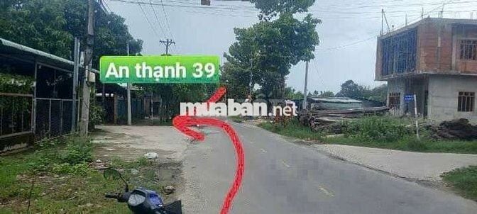 Ban đat phuong an thanh ,TA,BD,,TREN ĐAT CO MAY CAY MANG CUT,MAT LAM