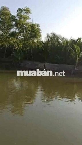 ĐẤT CLN 3385m2, PHƯỚC KIỂN, NHÀ BÈ, CHỈ 4,4Tr/M2