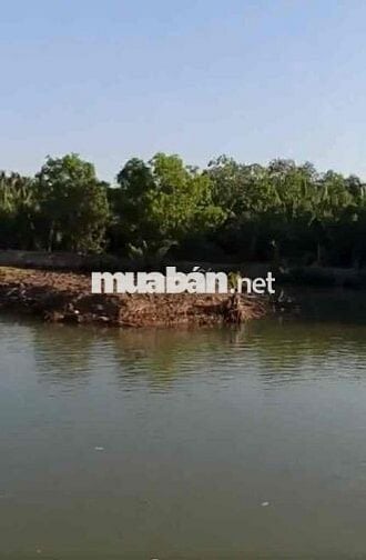ĐẤT CLN 3385m2, PHƯỚC KIỂN, NHÀ BÈ, CHỈ 4,4Tr/M2