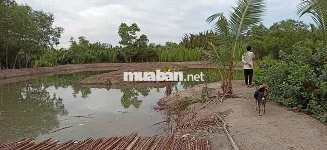 ĐẤT CLN 3385m2, PHƯỚC KIỂN, NHÀ BÈ, CHỈ 4,4Tr/M2