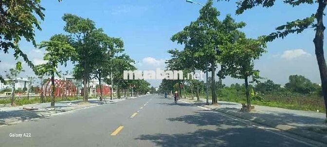 Bán đất 60m Trâu Quỳ, Gia Lâm, lô góc, mặt đường ô tô tránh đỗ