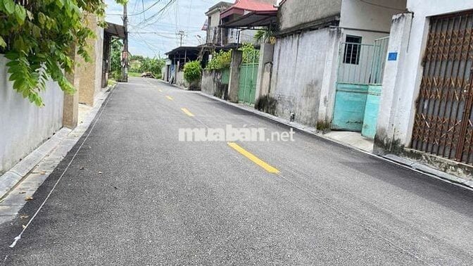 Bán đất chính chủ xuân bách.nội bài.
