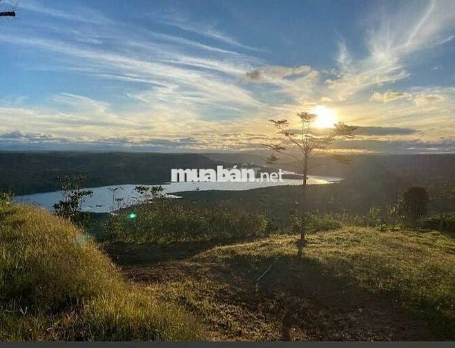 Đất lớn đã tách thành 4 lô nhỏ 2,5 sào/lô view sông Đồng Nai, Di Linh