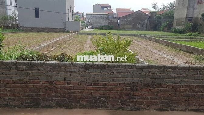 🌟 BÁN ĐẤT MẶT ĐƯỜNG - KINH DOANH - Ô TÔ TRÁNH - NGŨ HIỆP - THANH TRÌ