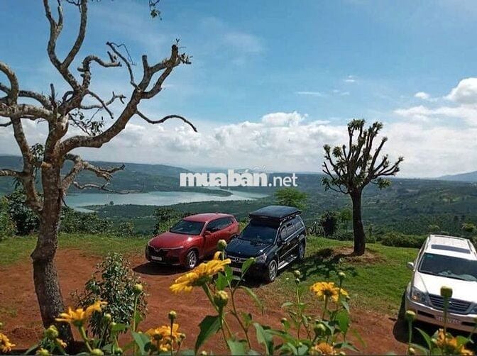 Đất lớn đã tách thành 4 lô nhỏ 2,5 sào/lô view sông Đồng Nai, Di Linh