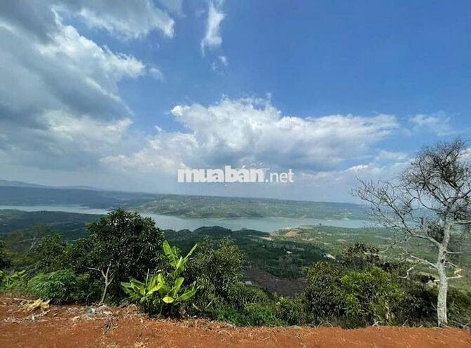 Đất lớn đã tách thành 4 lô nhỏ 2,5 sào/lô view sông Đồng Nai, Di Linh