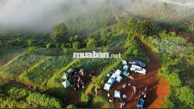 Đất lớn đã tách thành 4 lô nhỏ 2,5 sào/lô view sông Đồng Nai, Di Linh