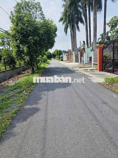 ĐẤT TỈNH LỘ 2 - TÂN PHÚ TRUNG, CỦ CHI, 5X30m, FULL THÔ, 760Tr