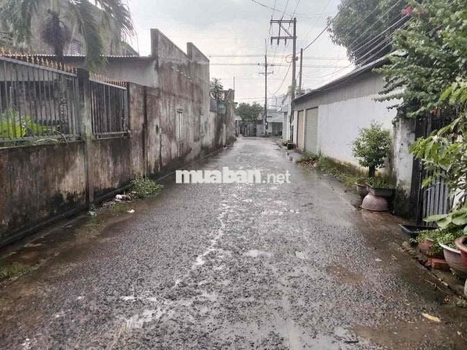 bán gấp lô góc 282m thổ cư 100% cách Lý Thái tổ 50m Vành Đai 3 chỉ 1km