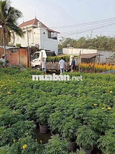 bán gấp lô góc 282m thổ cư 100% cách Lý Thái tổ 50m Vành Đai 3 chỉ 1km
