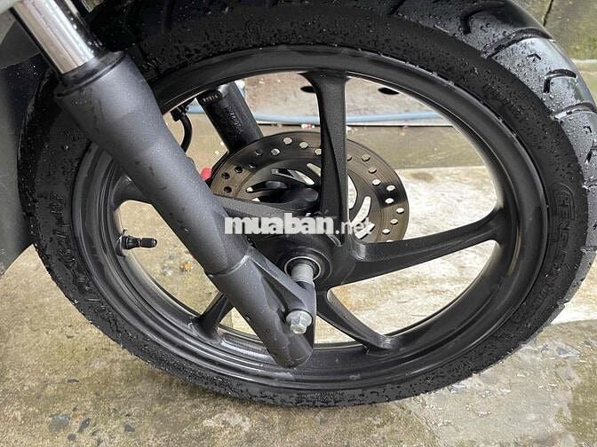 Vission xám xi măng bánh lớn dk 2024 data 2023