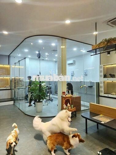 🏠 NGANG 7M SÀN SUỐT SIÊU KHÓ TÌM MẶT BẠCH ĐẰNG  – QUẬN BÌNH THẠNH