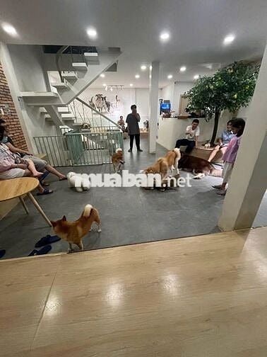 🏠 NGANG 7M SÀN SUỐT SIÊU KHÓ TÌM MẶT BẠCH ĐẰNG  – QUẬN BÌNH THẠNH