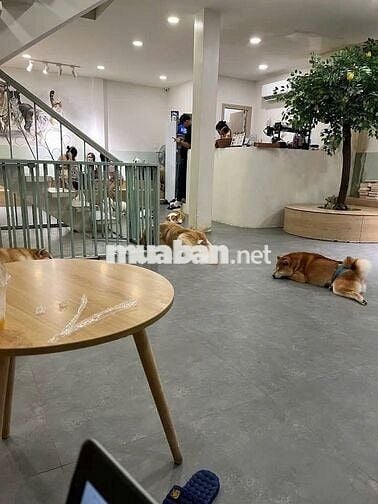 🏠 NGANG 7M SÀN SUỐT SIÊU KHÓ TÌM MẶT BẠCH ĐẰNG  – QUẬN BÌNH THẠNH