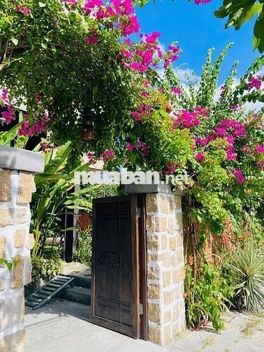 Bán villa phố cổ Hội An - Diện tích lớn-  doanh thu 80-100 tr/ tháng