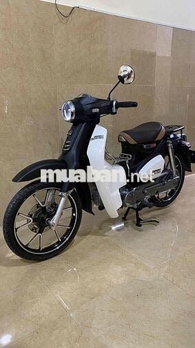 Supper cup 50cc-2024