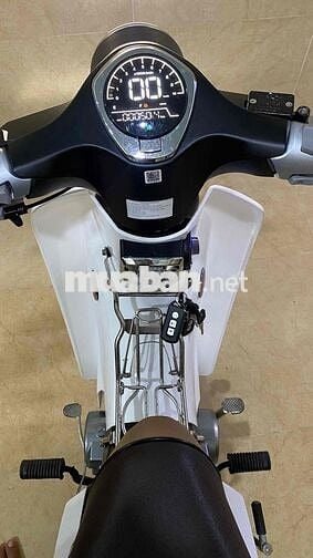 Supper cup 50cc-2024