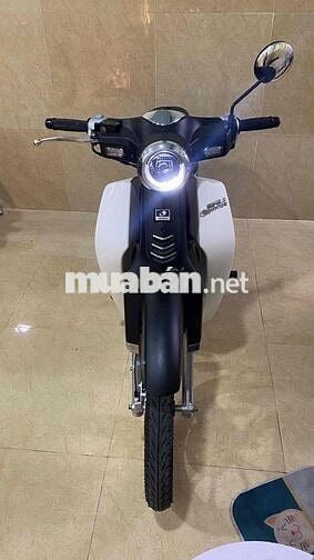 Supper cup 50cc-2024