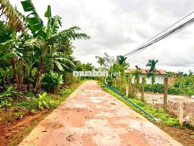 VIEW HỒ- ĐƯỜNG BÊ TÔNG KHU DÂN CƯ