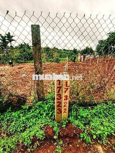 VIEW HỒ- ĐƯỜNG BÊ TÔNG KHU DÂN CƯ