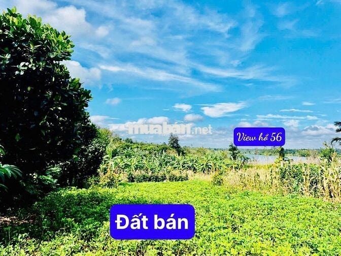 VIEW HỒ- ĐƯỜNG BÊ TÔNG KHU DÂN CƯ