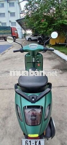 Xe 50cc 2024, CC 9 chủ