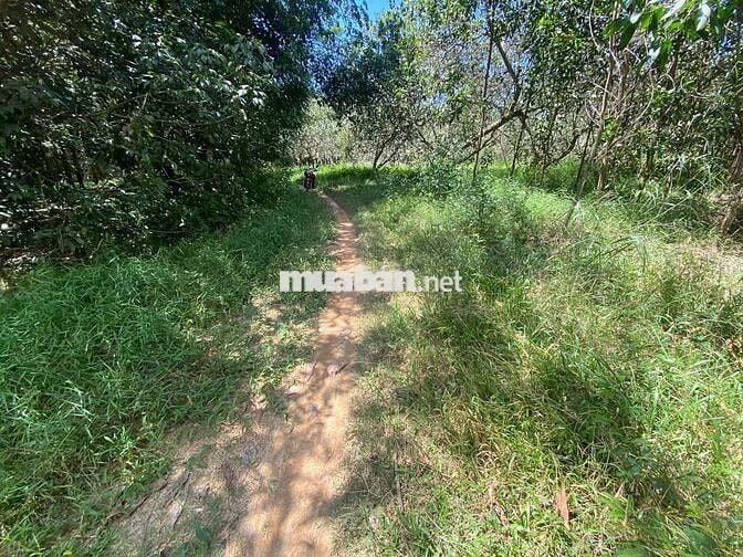 CHỈ 200t CHO 1 XÀO ĐẤT VƠI DIỆN TÍCH 6800M2,GIÁ ĐẦU TƯ SINH LỜI