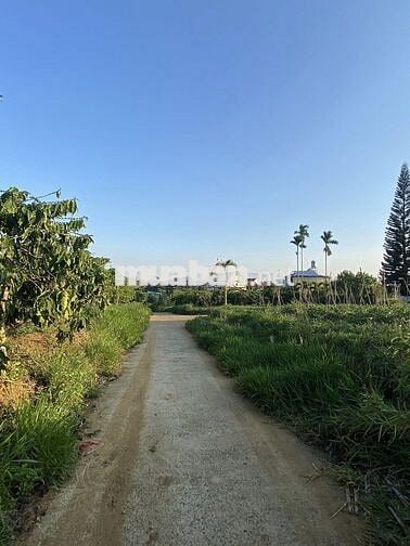 2000m2 đất nhà 1ty350-18m MT Trung tâm Thôn1 LỘC AN BẢO LÂM 2 LÂM ĐỒNG